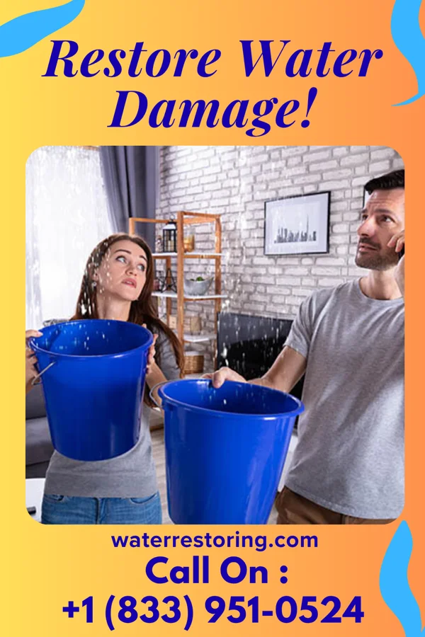water restoration Total Water Cleanup Professionals Walton