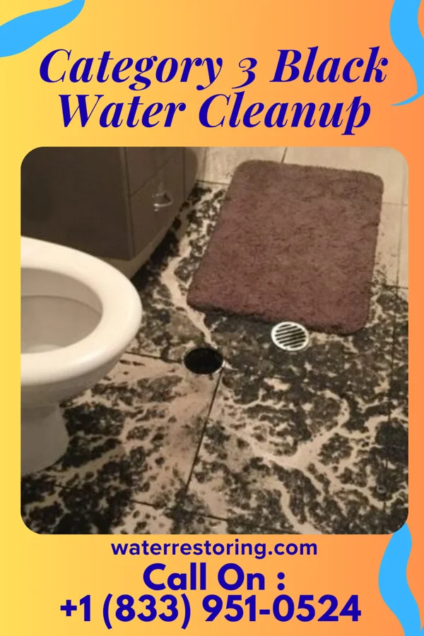 Category 3 Black Water Cleanup in Walton, KY