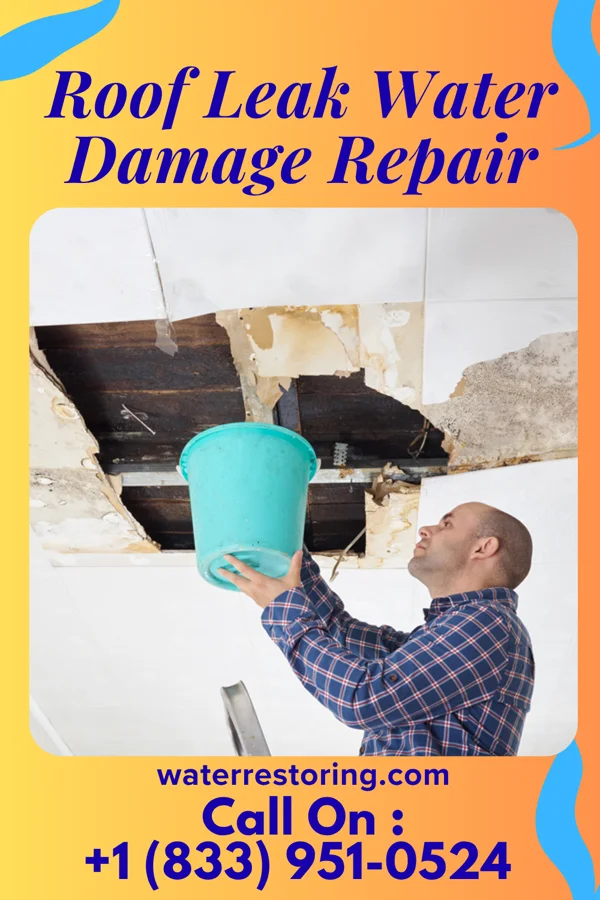Roof Leak Water Damage Repair in Walton, KY