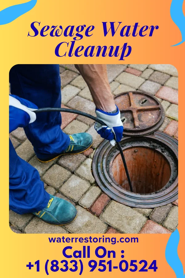 Sewage Water Cleanup in Walton, KY